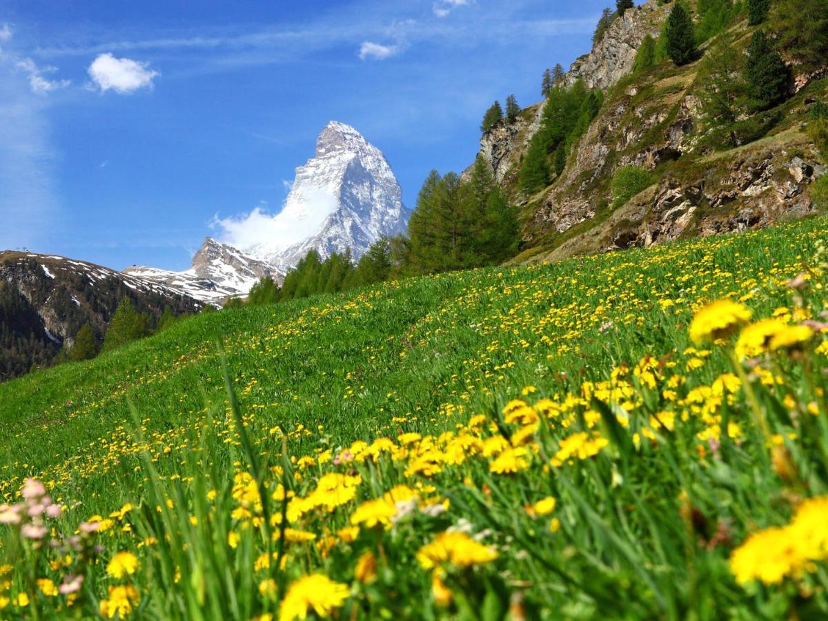 Holiday Home Gaedi By Interhome Zermatt Exterior photo